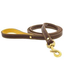 Dog Leash 3